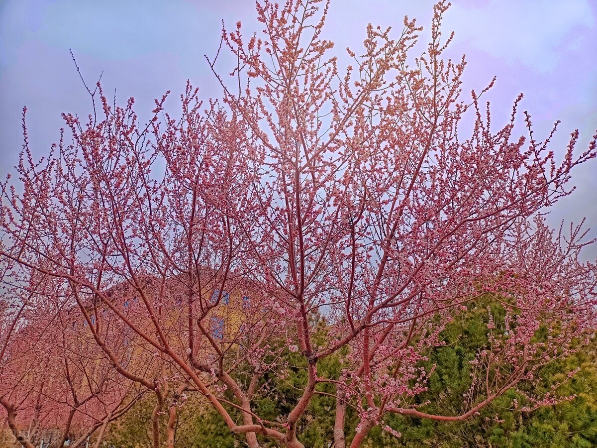 太原理工大学美术专业多少分录取,太原理工大学艺术录取文化分数线