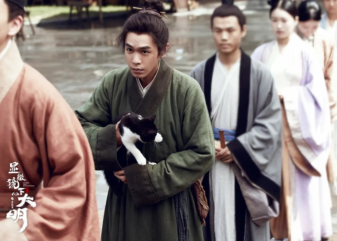 2023年最值得看的电视剧排行榜,盘点2023年最值得期待的电视剧