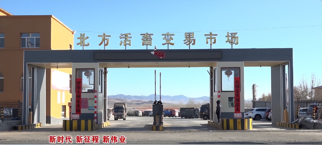 新时代新征程新伟业山东,新时代新征程新伟业第四集直播