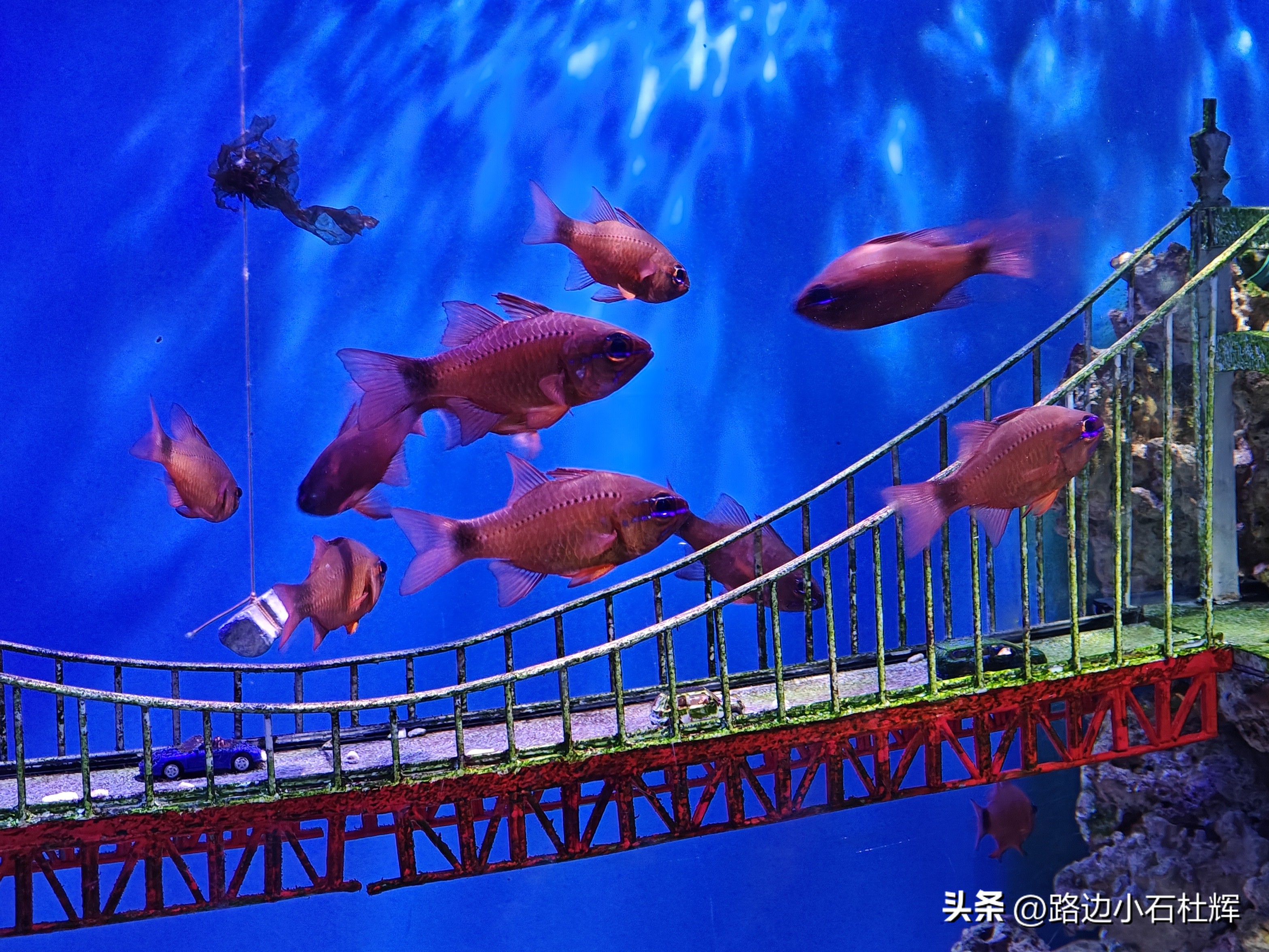 游游人间,游旅人间