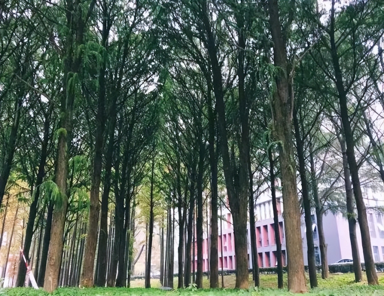 百廿风华，岁月成卷！2023，南京林业大学“新篇章”由你执笔开篇！