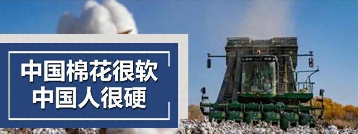 女汉奸袁莉还能回国吗,现代女汉奸袁莉