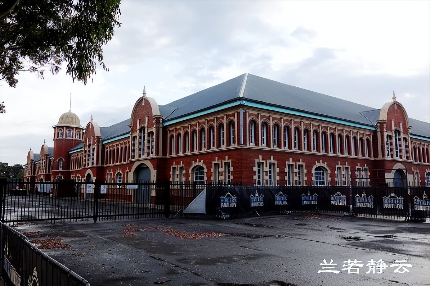 澳洲悉尼街拍,澳洲街拍