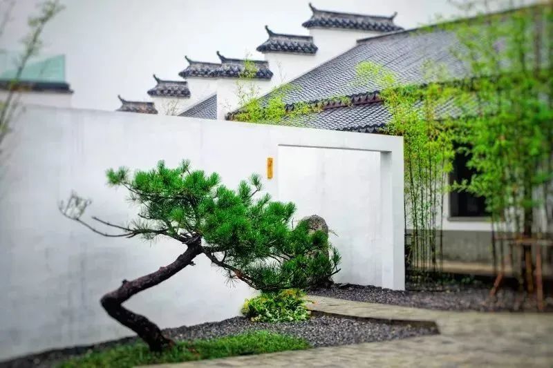 孩子们的快乐星球！周末带娃，肥西这些地方就够啦！