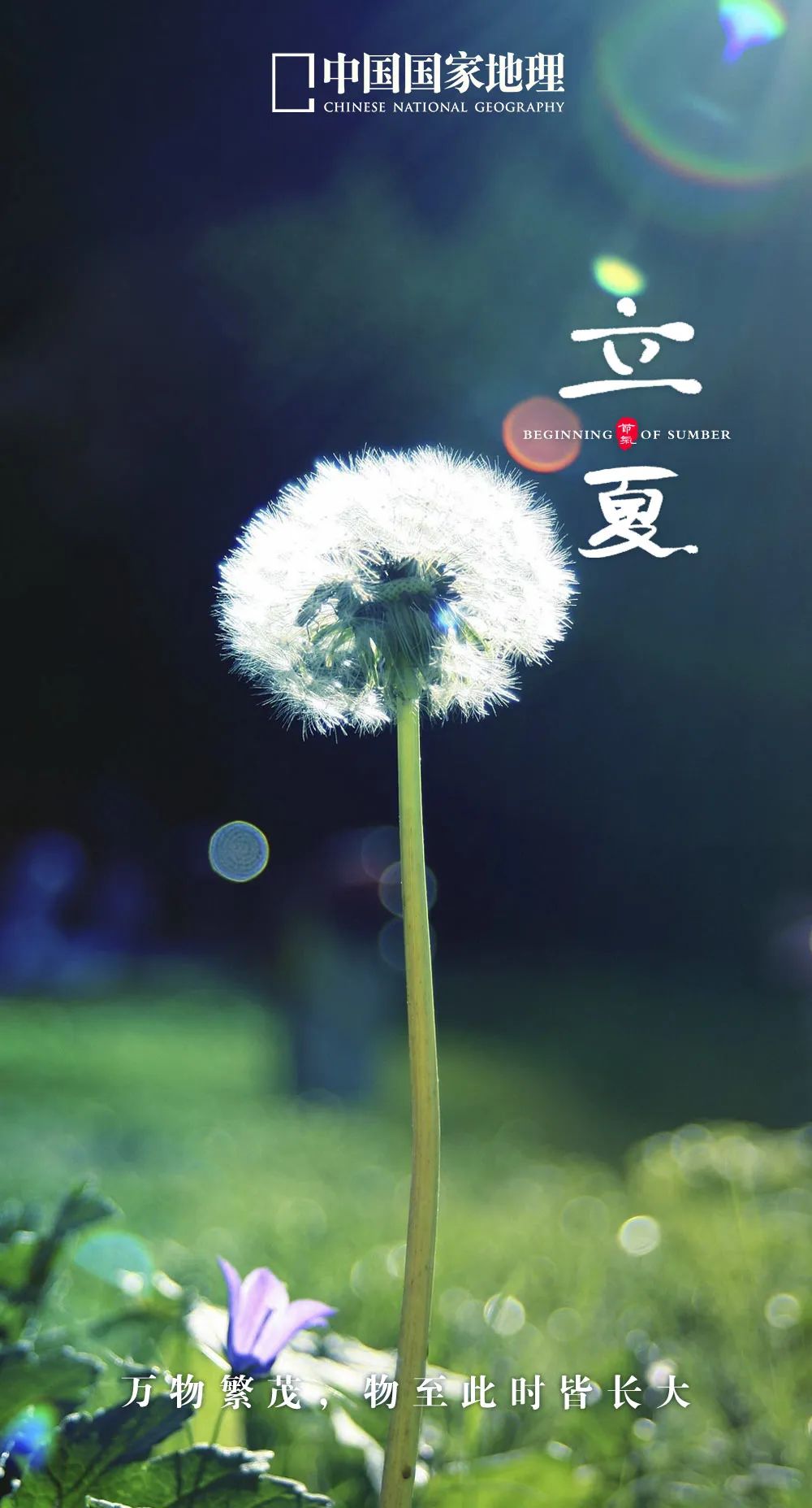 365天最美24节气图诞生惊艳国人,这组24节气图太美了