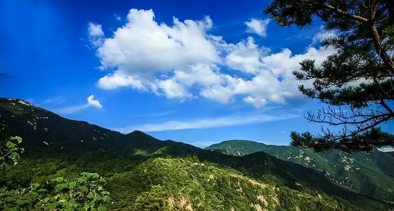 汉阳柏泉人张禹木诗几首禺草号汉阳