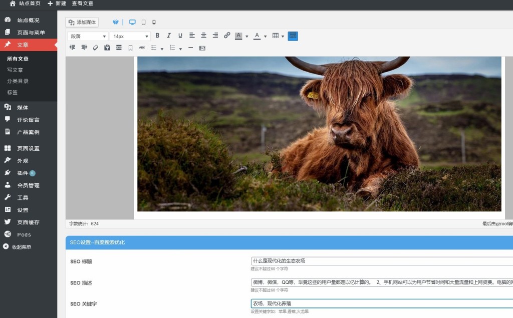 对营销型网站进行优化有哪些原则,营销推广型网站优化