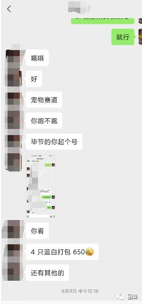 猎人先生商业经，0成本空手套白狼，流量变现从未如此简单！