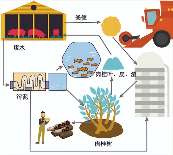 养殖场光伏发电的前景,光伏发电可以带动农村养殖吗