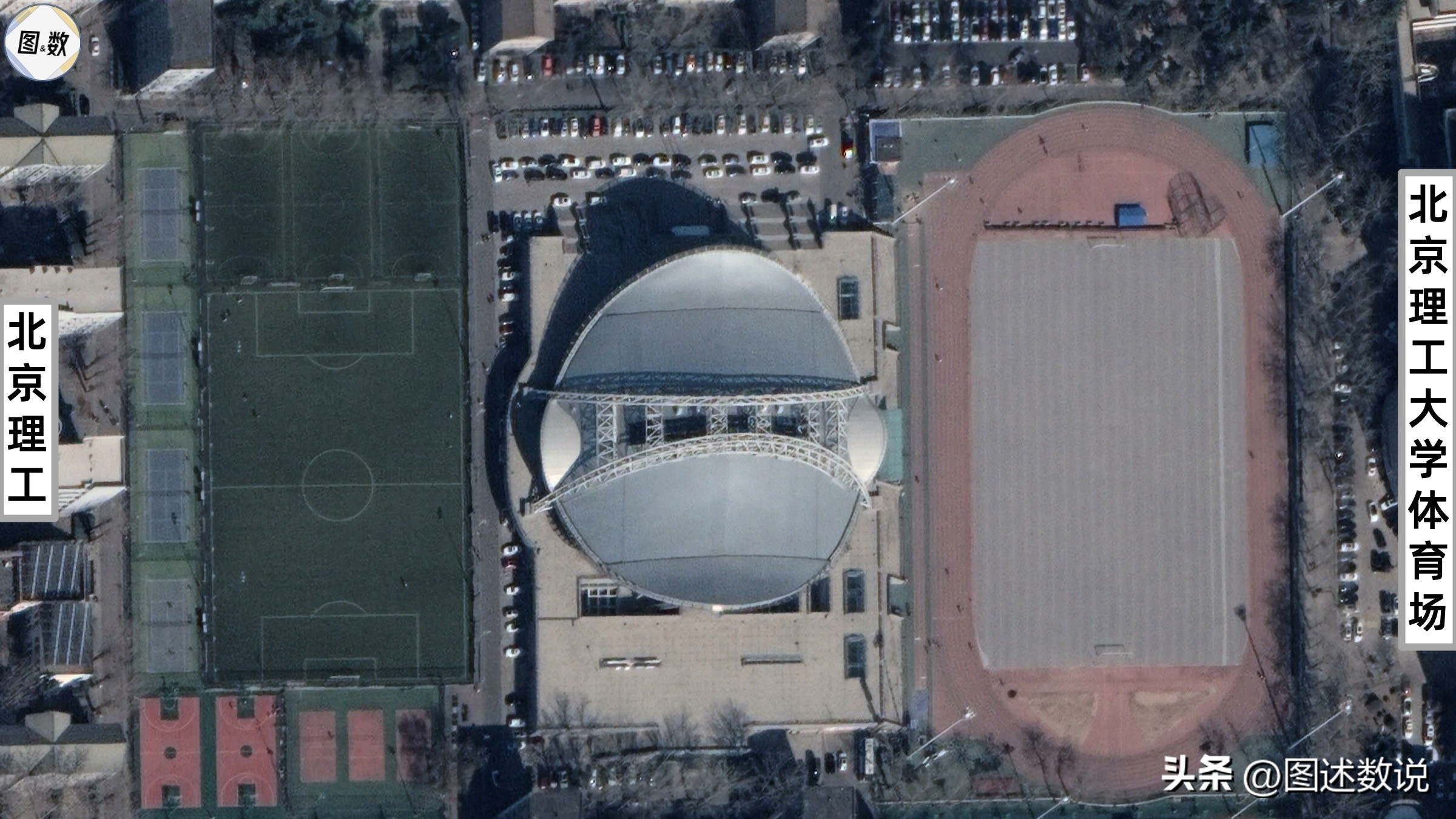 中国足球地域,中国职业球员分布