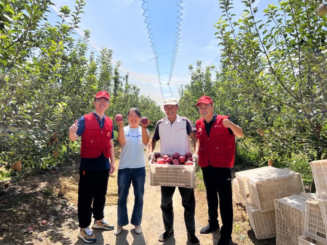 第六届中国农民丰收节,中国农民丰收节