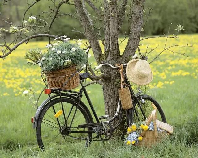 如果有人看不起你的感悟,如果有人看不起你无需给他面子