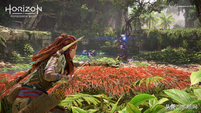 地平线西之绝境游戏新手入门教程,地平线西之绝境新手攻略