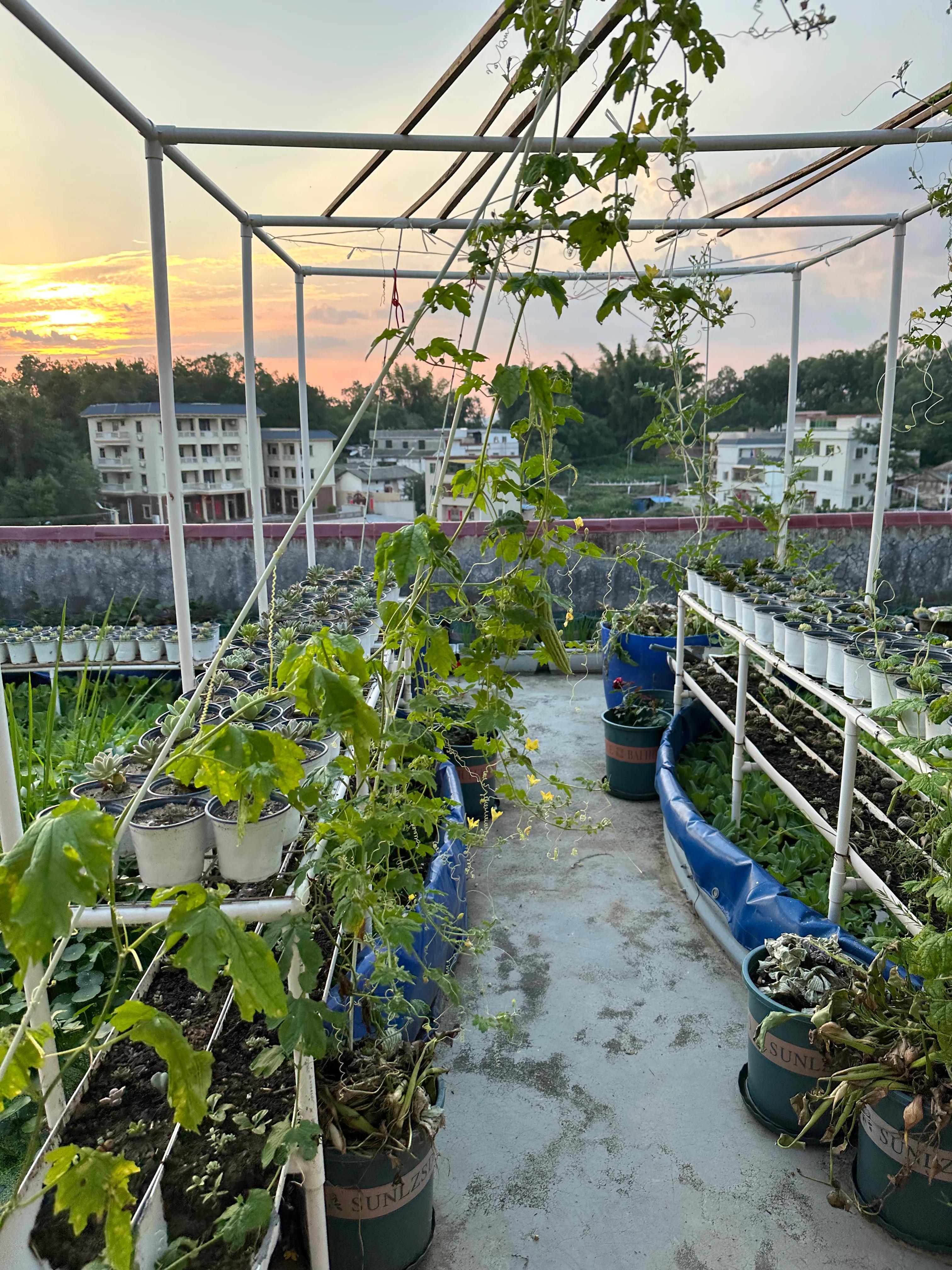 明明努力赚钱才是主流，可为什么我偏偏喜欢这些？