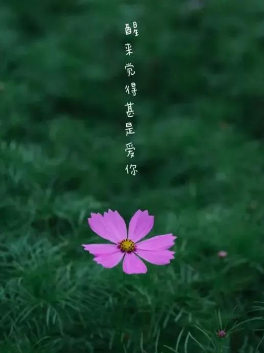 我就是这样的爱你，才会想到要给你