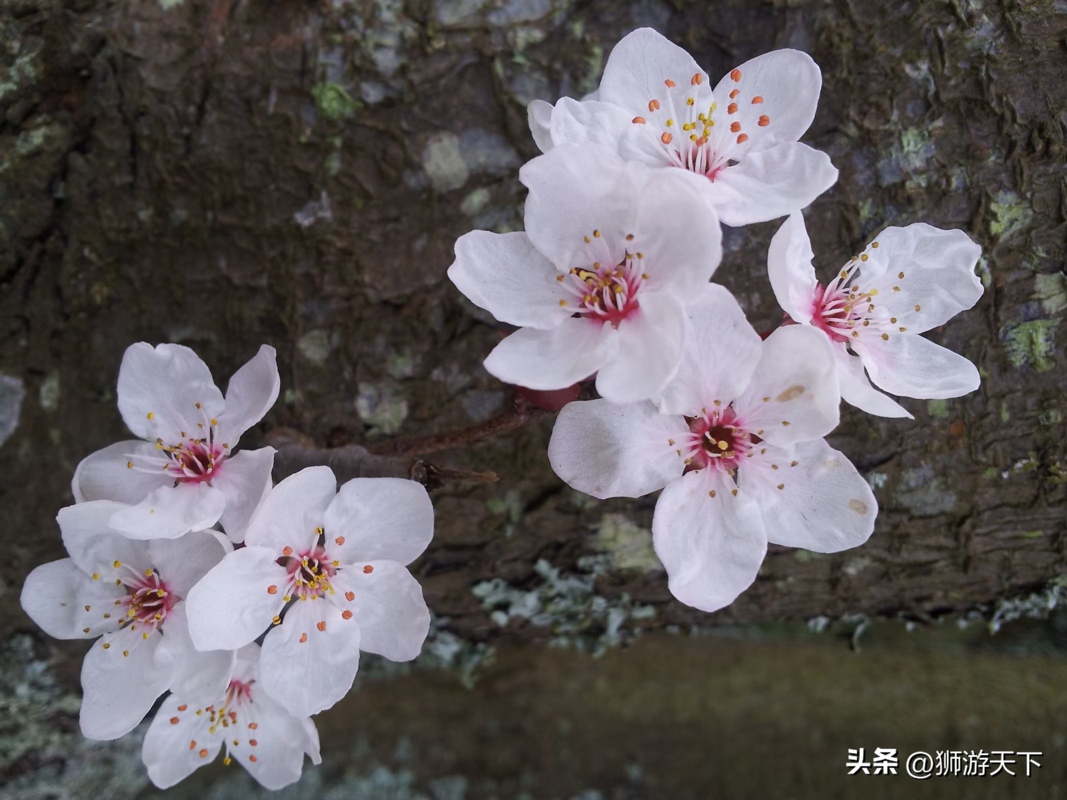 英国本科陪读,英国陪读住宿