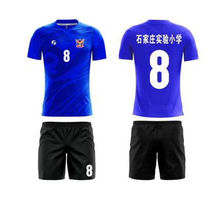 石家庄市实验小学,石家庄实验学校和实验小学