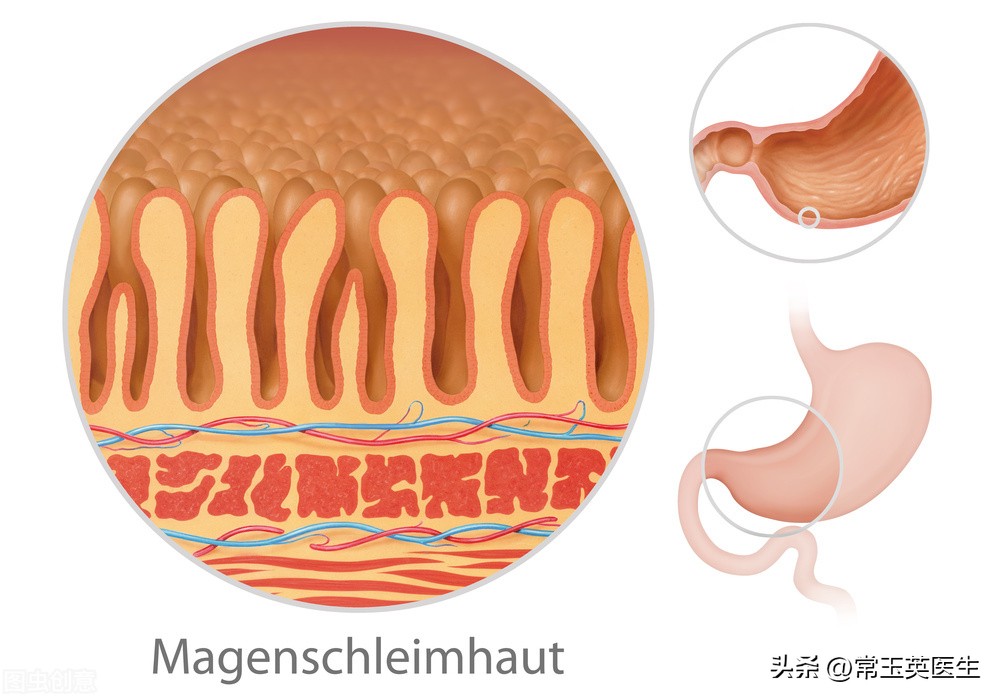 胃黏膜保护的中成药 (胃黏膜保护剂怎么卖)