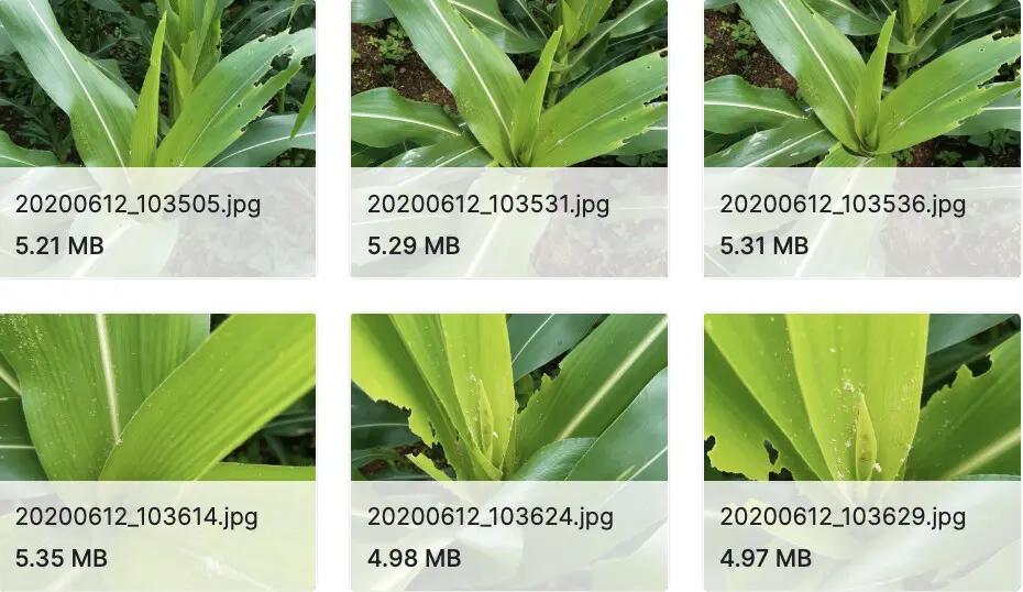 60+开源数据集资源大合集（医学图像、卫星图像、自动驾驶等）