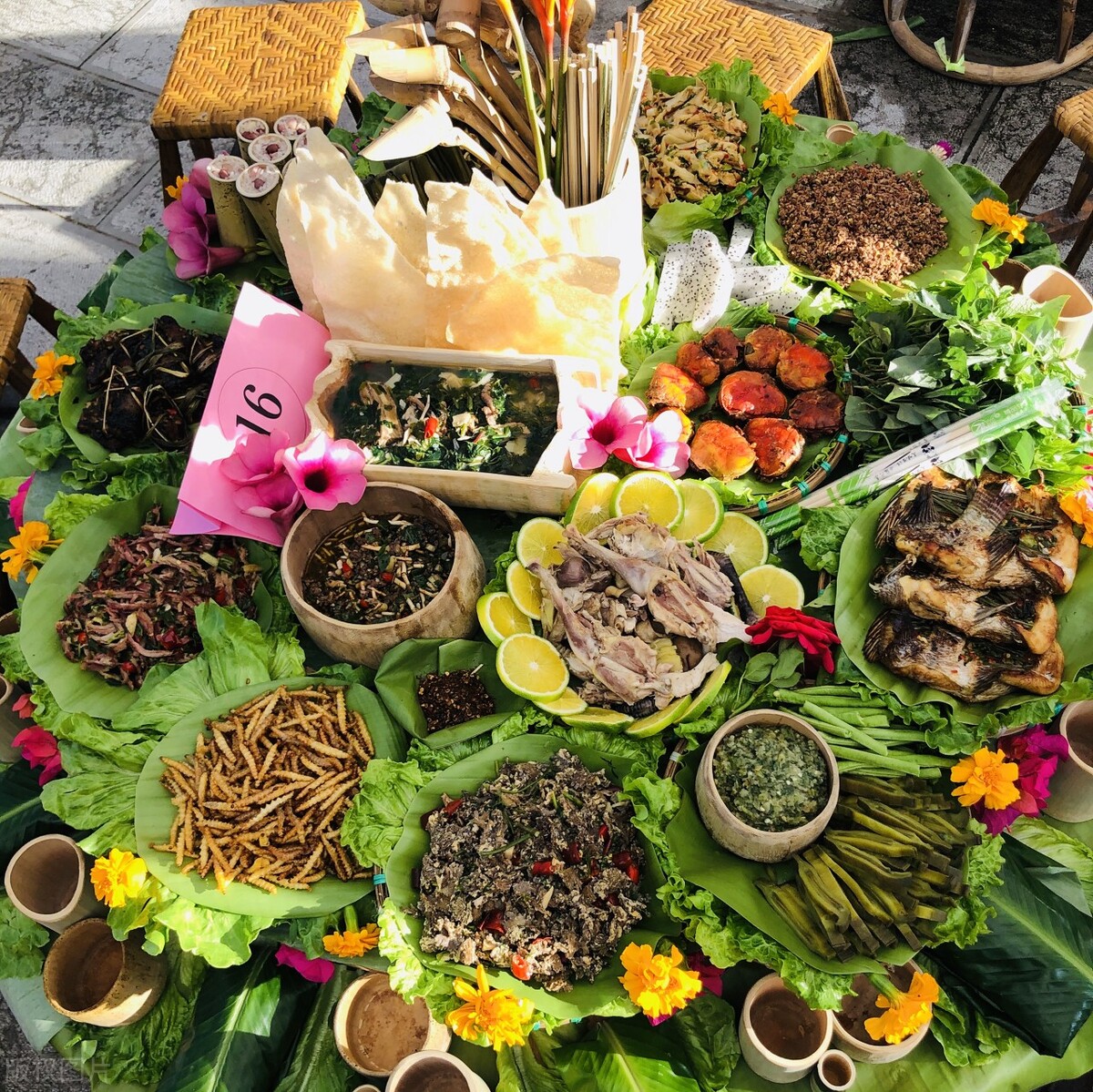 西双版纳避寒避暑的雨林仙境,西双版纳避寒度假