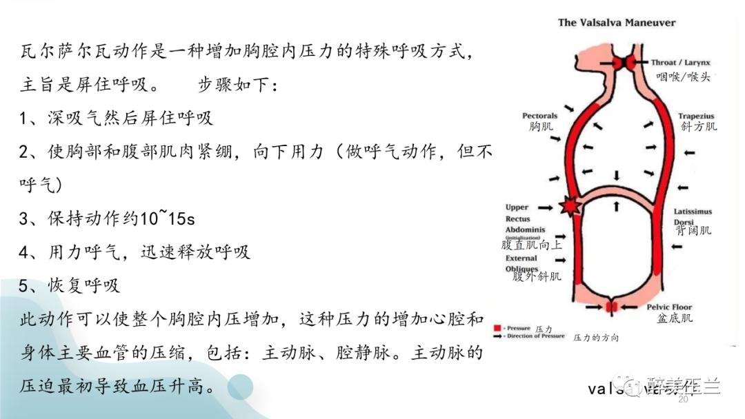 深静脉穿刺置管术讲解ppt,中心静脉穿刺置管深度