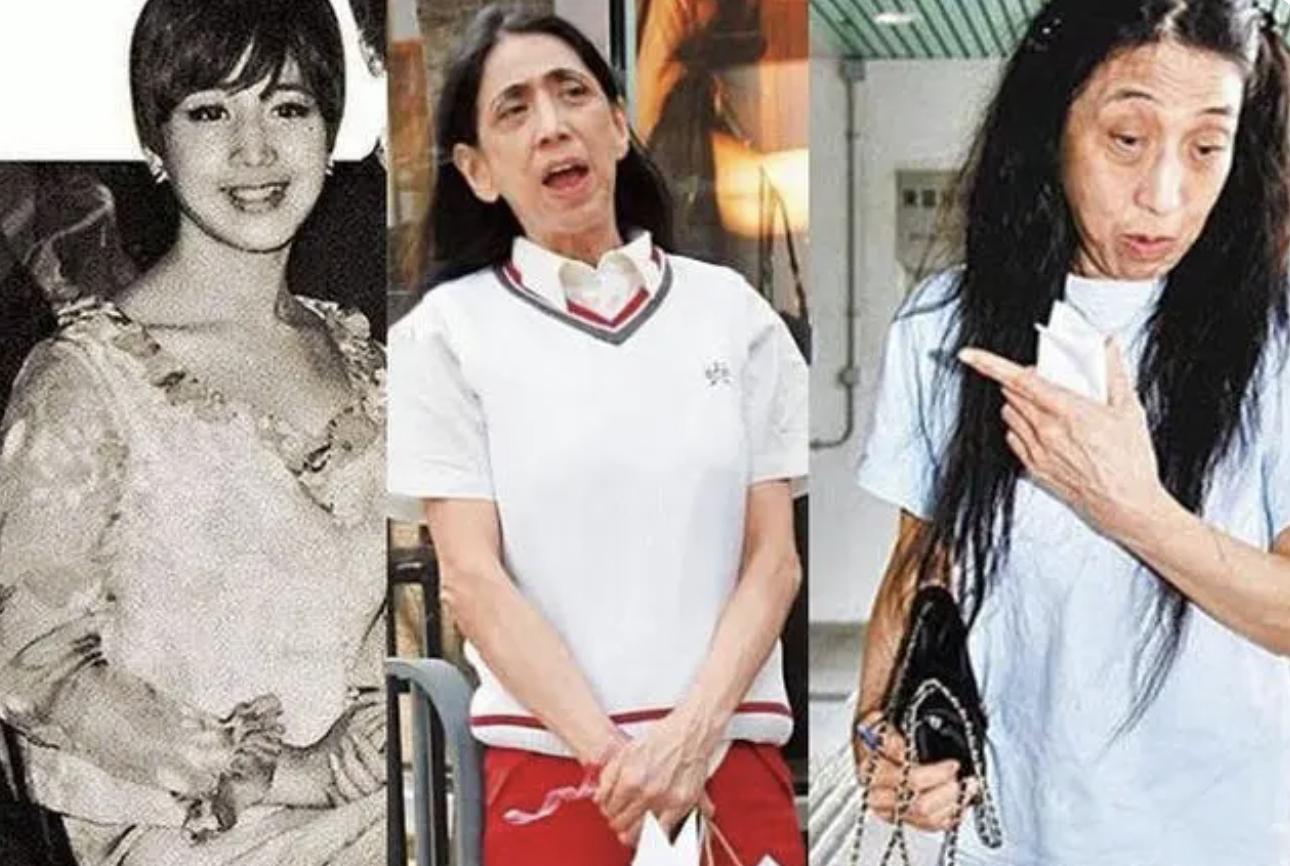 豪门婚姻的真相,豪门婚姻究竟给女人们带来什么