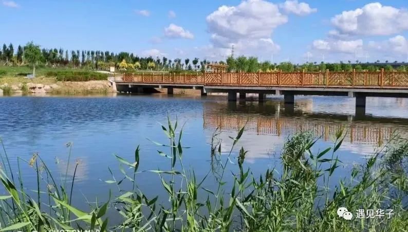 包头市台地公园景观,包头台地公园介绍