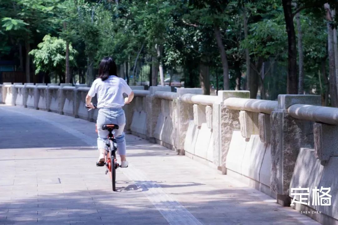 深圳九条最美绿道图片,深圳这10条绿道你去过没