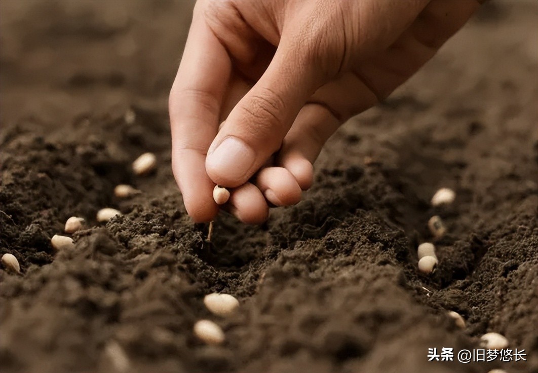 十天干中的甲对应数字是,甲与十天干的关系