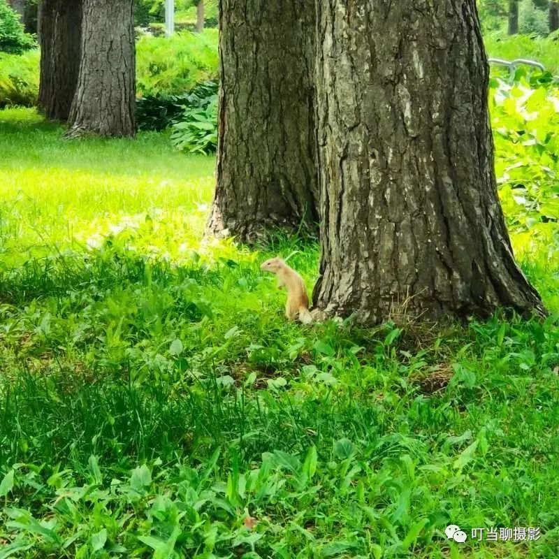 照片拍摄现场分享,说说摄影组照怎么拍摄