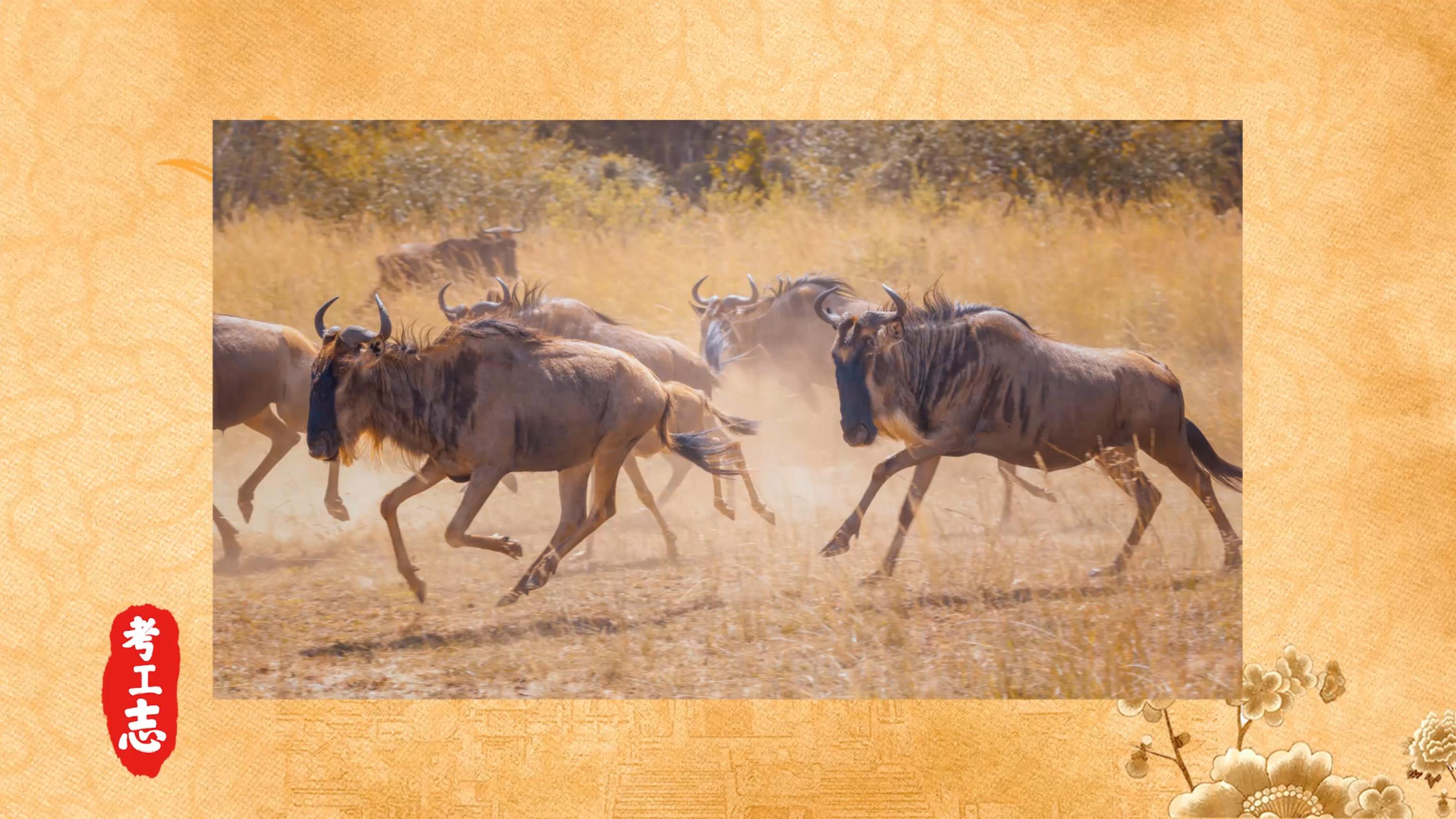 老北京微缩景观北海公园,北京老北海公园