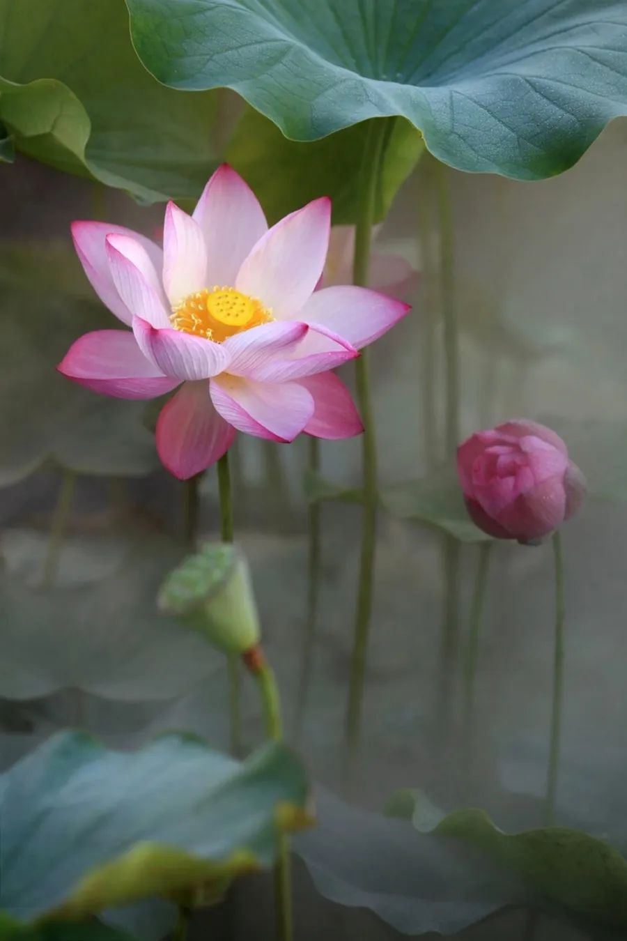 时间雅称大全,时间的别称雅称