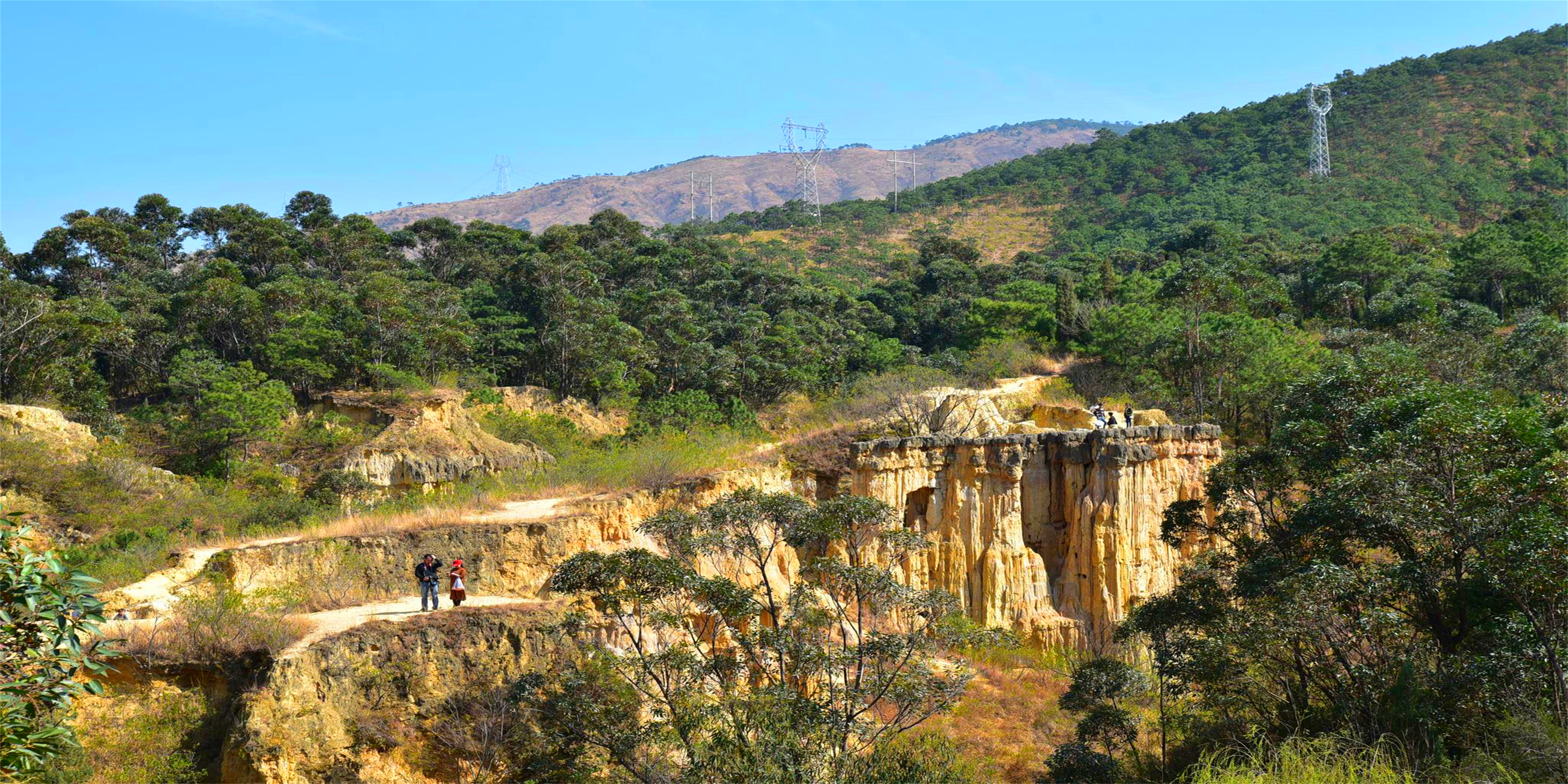 王仕彬,王仕彬百科