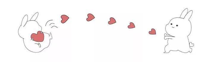 还有哪些好看又不贵的袜子,多肉袜子