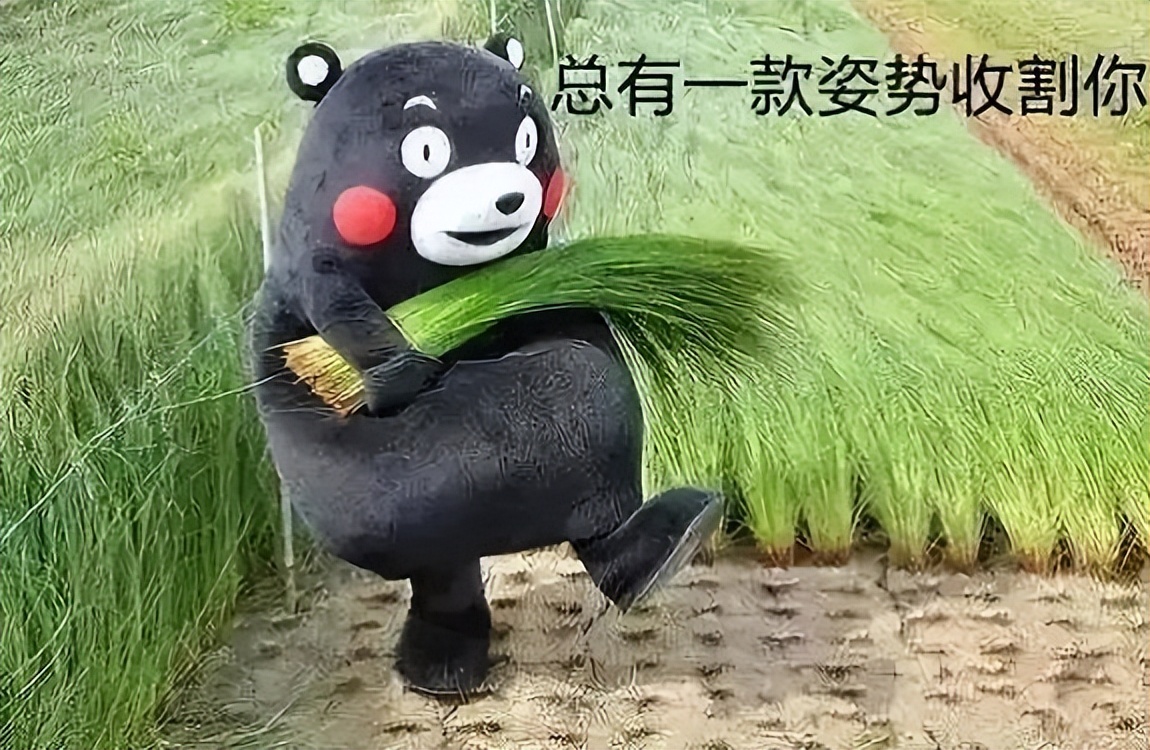 国产汽车在23年到底是什么水平,如今2023年国产车怎么样了