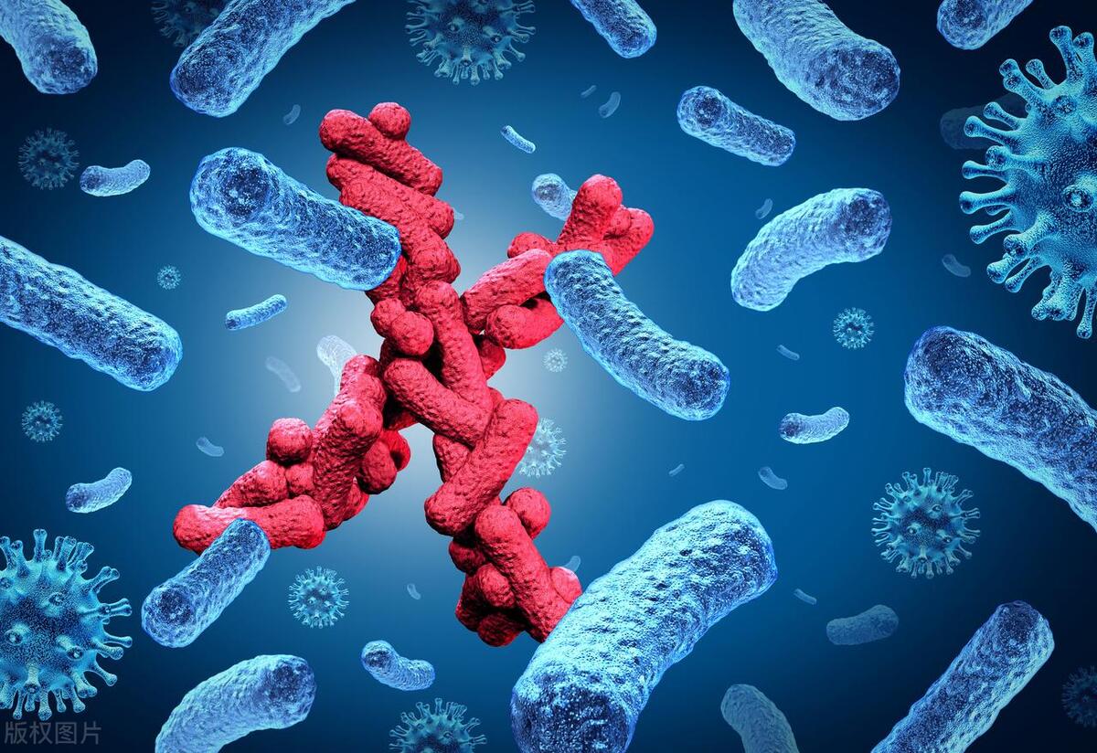 皮肤长红色疹子不痛不痒是什么病,肩膀上红色疹子不痛不痒