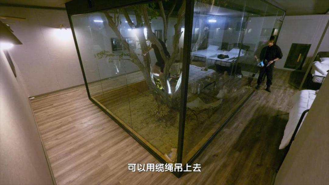 9.6分还在涨，国综又双叒输给韩国了