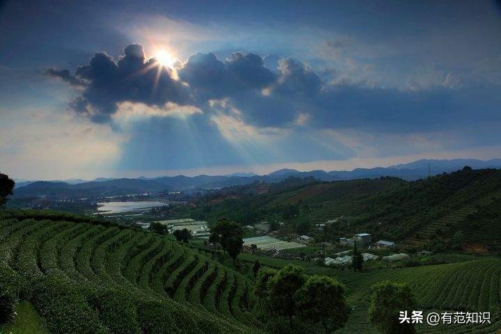 19岁女大学生深夜做“生意”,一年替父还债200万,成千万富婆