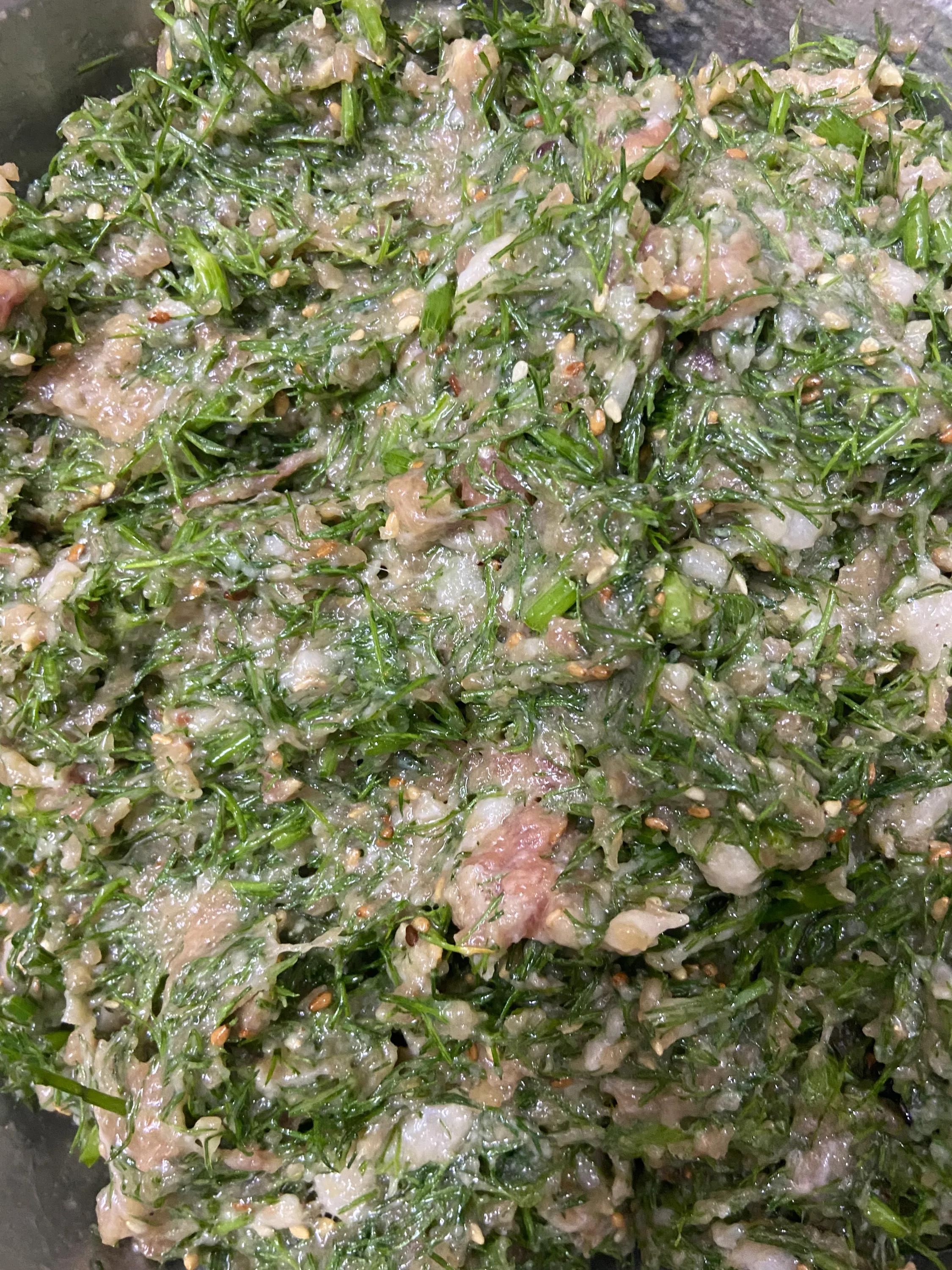 为什么南方的茴香与北方的不一样,茴香广东可以种吗