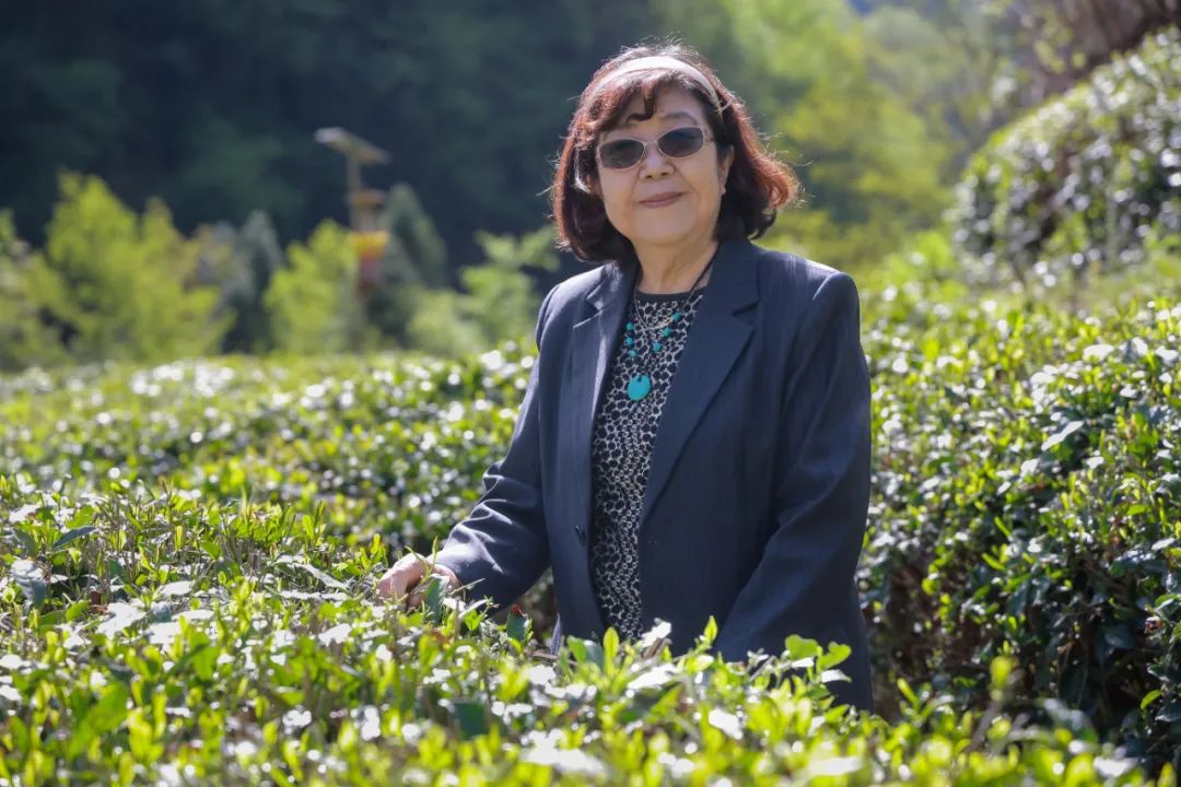 中国名作家采风活动走进襄阳,中国著名作家采风团