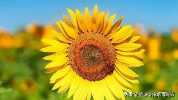 心理学教你六大识人法则,心理学中人和人之间真的有磁场