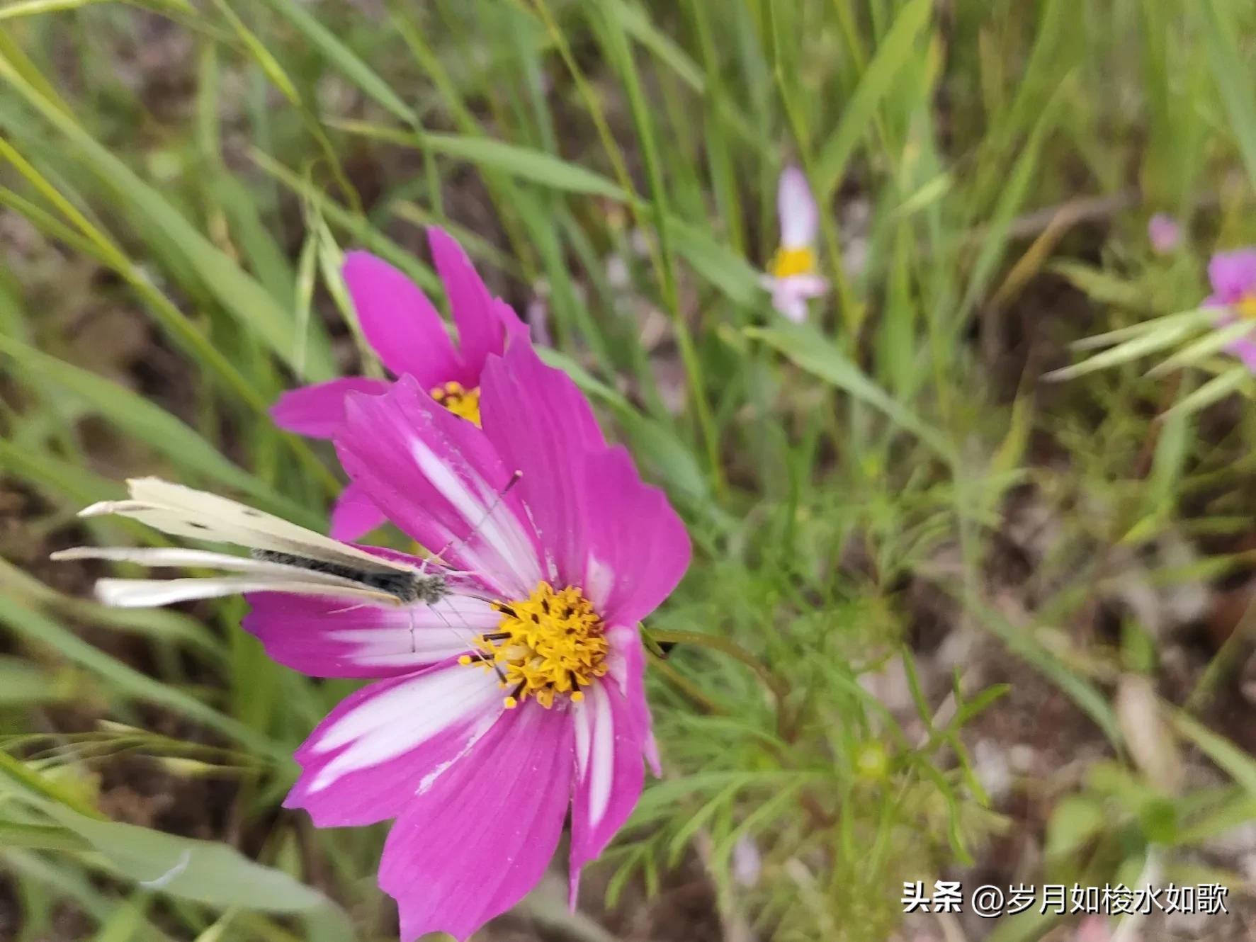 时间的小溪,时间的河流轻音乐