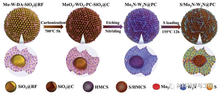 西北大学中科大：一种新型异质结构设计策略获得高性能钠硫电池
