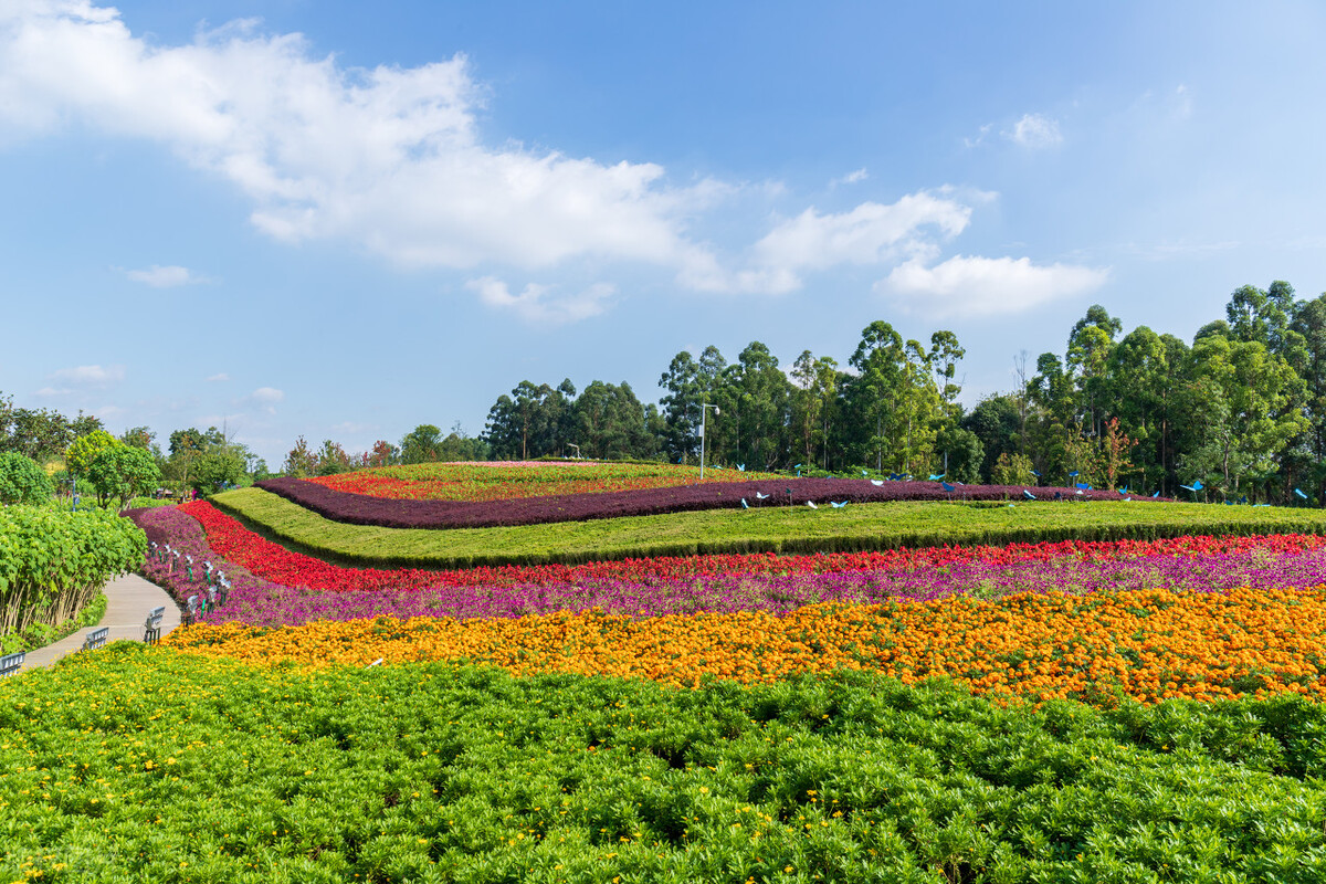 成都景点免费门票一览表,成都附近公园免费景点推荐