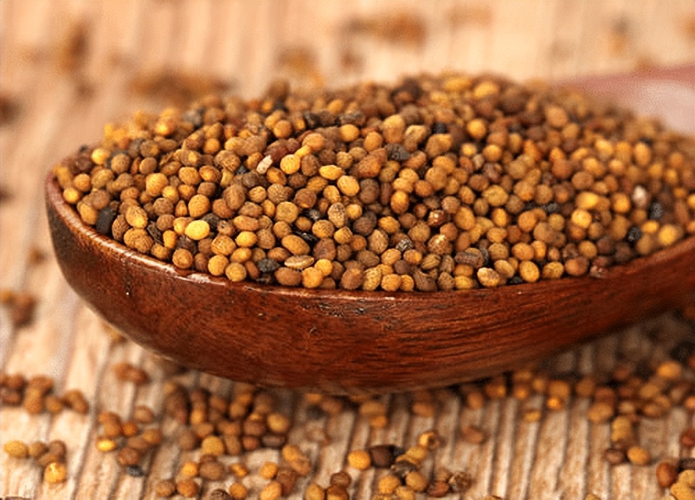 补气血养肾固精药膳,补肾填精中医食疗方