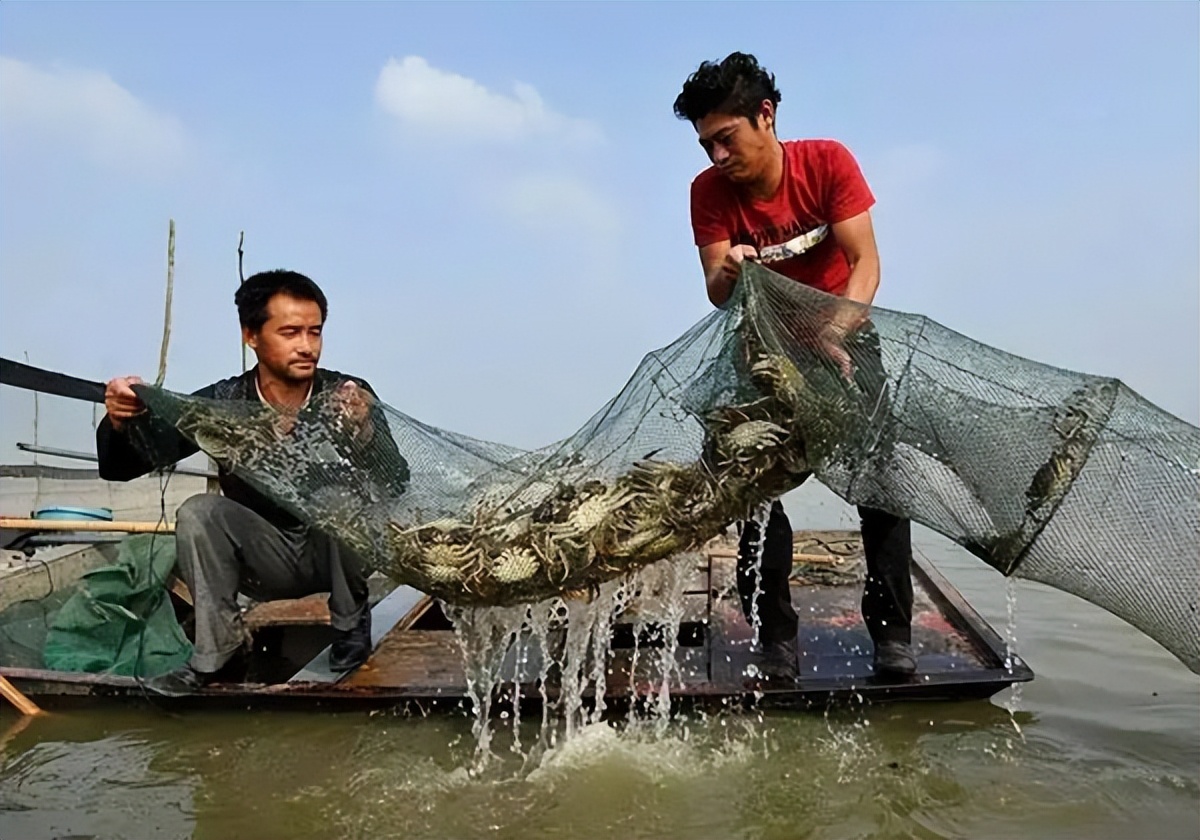今年阳澄湖大闸蟹价格是升还是降,今年阳澄湖大闸蟹价格是多少