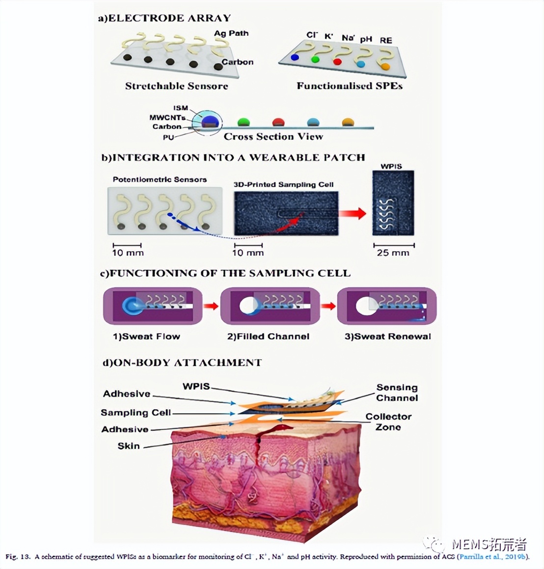 基于电位计的生物传感器进行生物标志物检测的研究进展（下篇）