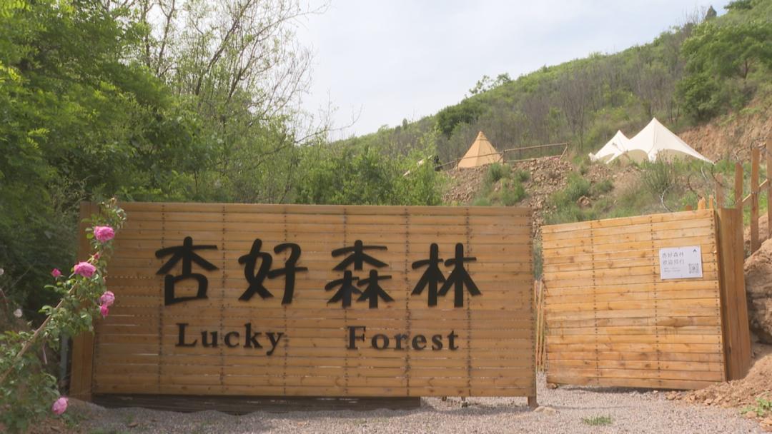 上寨村打造乡村振兴样板,鹿泉区南寨振兴农旅数字产业园