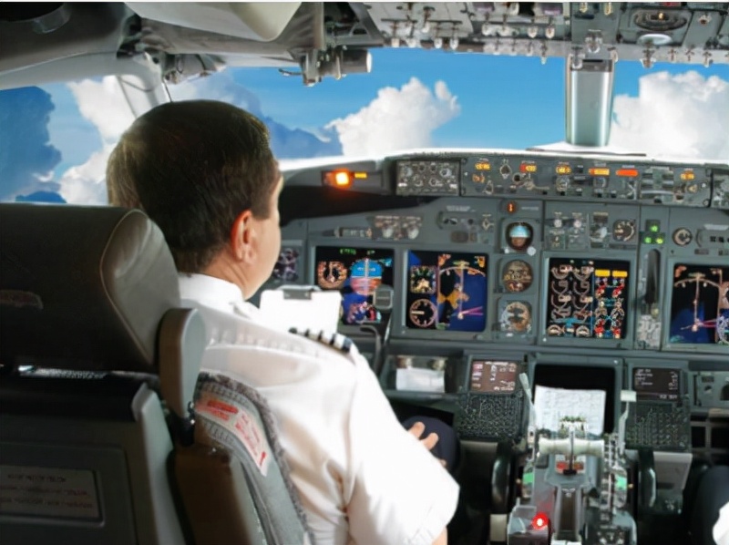 东航波音737飞机失事坠毁事件,东航波音737飞机失事原因