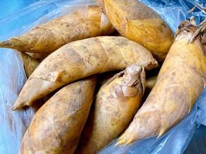 冬笋的保存方法视频,冬笋的保存方式